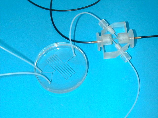polym3